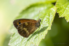 20260705-IMG_7357-Edit