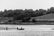 20260530-IMG_1254