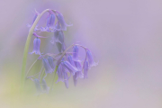 20190427-_W5A2437