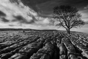 IMG_0188