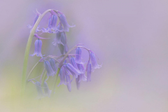 20190427-_W5A2437