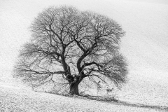 January-22-2015-002
