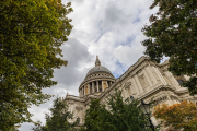 20241003-IMG_2463