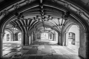 20241003-IMG_2639