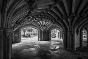 20241003-IMG_2643-HDR