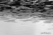Callender-58-BnW