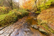 Fallkirk-Walk-1