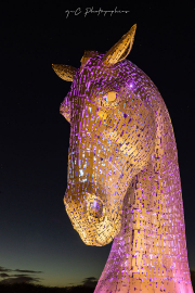 Kelpies-30
