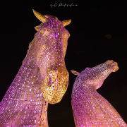 Kelpies-38