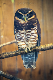 20260526-IMG_0178