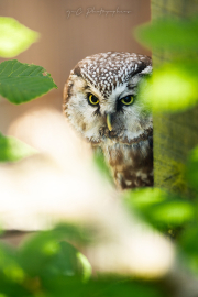 20260526-IMG_3464