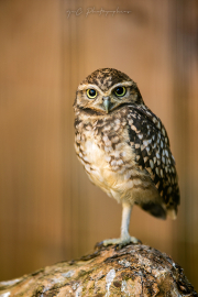 20260526-IMG_3494