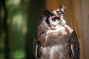 20260526-IMG_4224