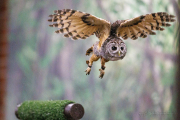 20260526-IMG_4469