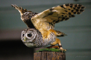 20260526-IMG_4689