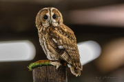 20260526-IMG_4801