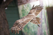 20260526-IMG_4940