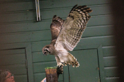 20260526-IMG_4972