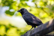 20260526-IMG_5190