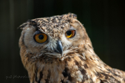 20260526-IMG_5251