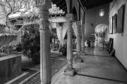 IMG_2757